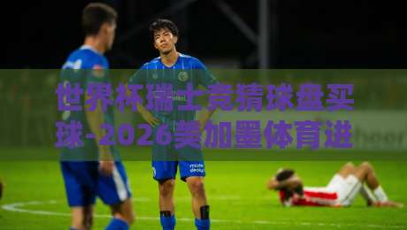 世界杯瑞士竞猜球盘买球-2026美加墨体育进球：资深玩家的实战策略与避坑指南