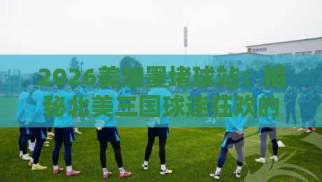 2026美加墨堵球站：揭秘北美三国球迷狂欢的新地标