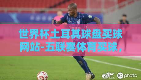 世界杯土耳其球盘买球网站-五联赛体育买球，2026年资深球迷必读的玩法指南