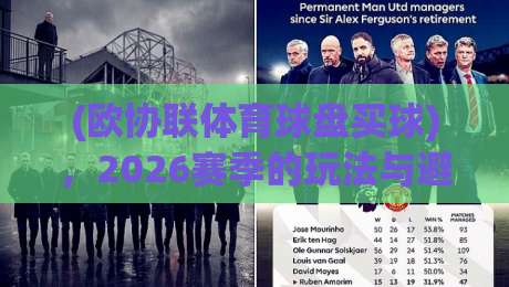 (欧协联体育球盘买球)，2026赛季的玩法与避坑指南
