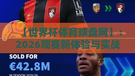 【世界杯体育球盘网】：2026观赛新体验与实战指南