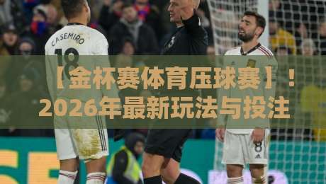 【金杯赛体育压球赛】！2026年最新玩法与投注策略全解析
