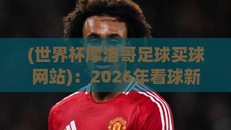 (世界杯摩洛哥足球买球网站)：2026年看球新姿势，别踩坑！