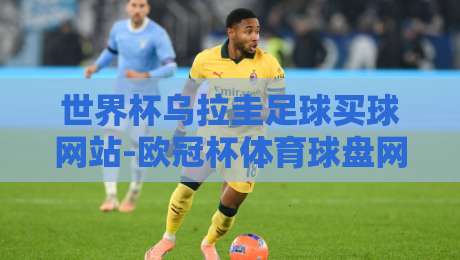世界杯乌拉圭足球买球网站-欧冠杯体育球盘网：2026年球迷必看指南【世界杯乌拉圭足球买球网站-欧冠杯体育球盘网】