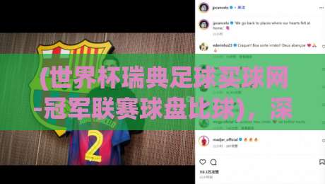(世界杯瑞典足球买球网-冠军联赛球盘比球)，深度解析2026年购彩新风向