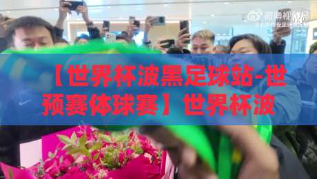 【世界杯波黑足球站-世预赛体球赛】世界杯波黑足球站,世预赛体球赛前瞻:2026征程的暗涌与重生 【世界杯波黑足球站-世预赛体球赛】世界杯波黑足球站,世预赛体球赛前瞻:2026征程的暗涌与重生