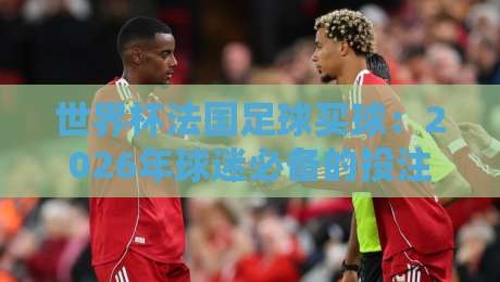 世界杯法国足球买球：2026年球迷必备的投注指南与避坑技巧