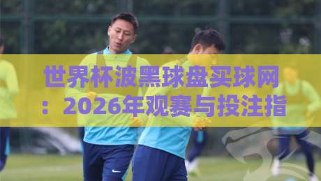 世界杯波黑球盘买球网：2026年观赛与投注指南（世界杯波黑球盘买球网）