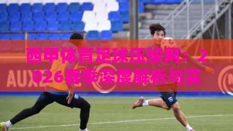 西甲体育足球压球网:2026赛季深度解析与实用指南 西甲体育足球压球网:2026赛季深度解析与实用指南