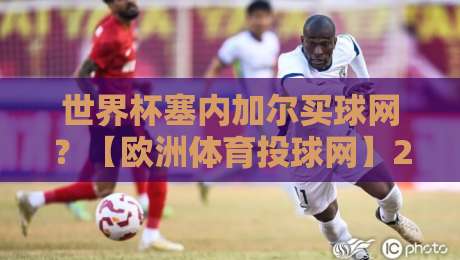 世界杯塞内加尔买球网?【欧洲体育投球网】2026年观赛与投注新趋势深度解析 世界杯塞内加尔买球网?【欧洲体育投球网】2026年观赛与投注新趋势深度解析