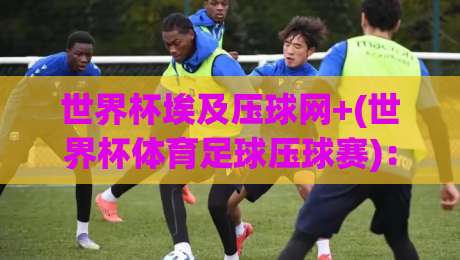 世界杯埃及压球网+(世界杯体育足球压球赛)：2026年球迷必看的实战攻略！