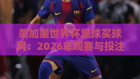 美加墨世界杯足球买球网：2026年观赛与投注的终极指南
