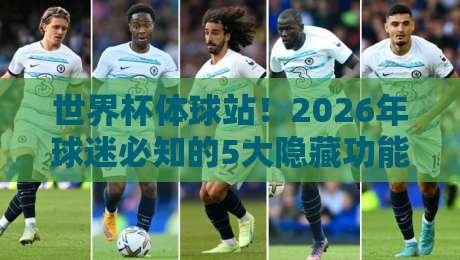 世界杯体球站！2026年球迷必知的5大隐藏功能